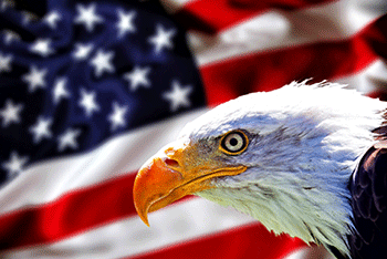 美國政策發力，基礎建設及公用事業添動力