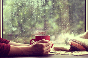 四大擔憂籠罩，全球遭逢黑色星期五